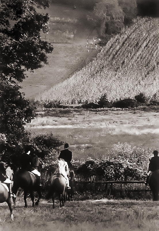 Fox hunt - 1st published image � Dave Hickey